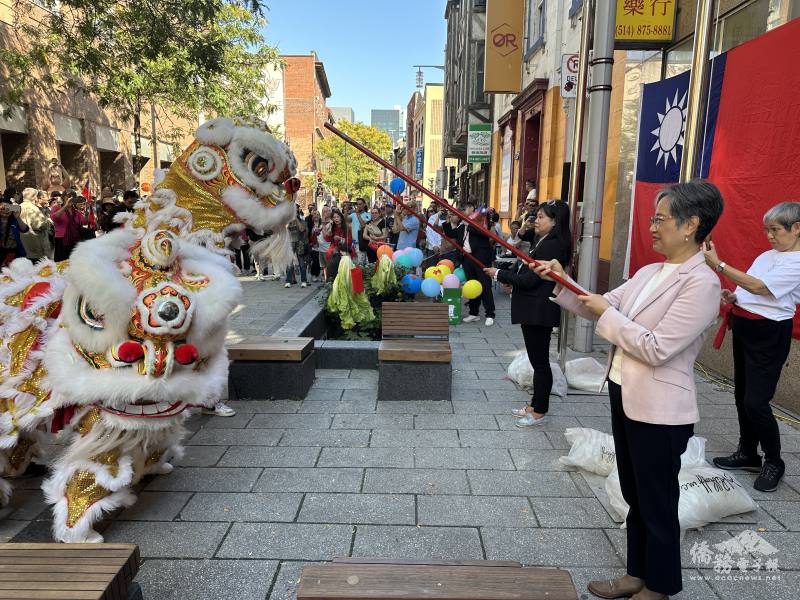 駐蒙特婁辦事處處長陳淑容（粉衣者）與蒙特婁僑學界活動籌備會2025年輪值主席曾玟瑛（黑衣者）進行舞獅的「採青」儀式