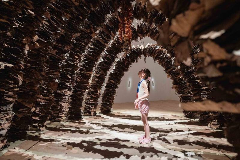 新北市美術館與民眾一同歡慶雙十國慶，10日當天全館免費開放參觀，5檔當期展覽皆可走訪，邀請民眾走入新美館感受藝術氛圍。（新北市文化局提供）