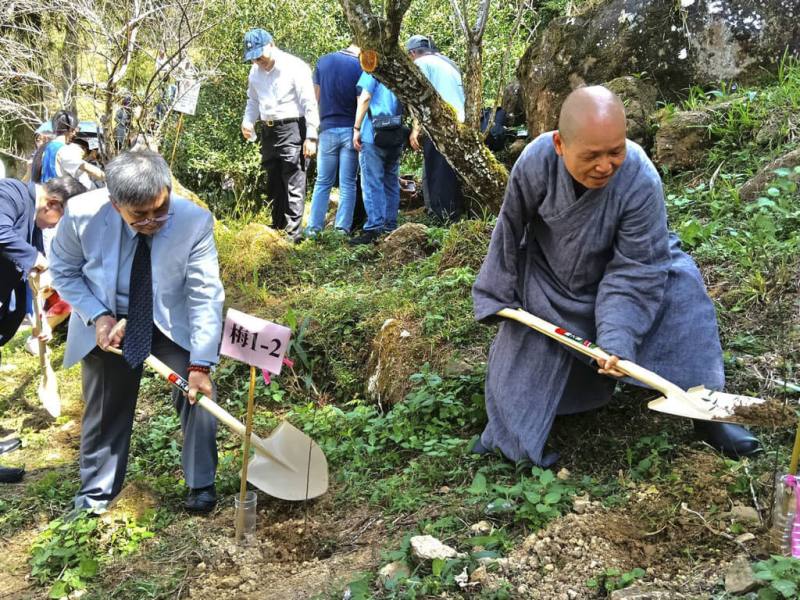 華梵大學校內一棵老梅樹育出上百樹苗，董事長悟觀法師（前排右）、校長李天任（前排左）16日號召師生，一同種下2代梅樹。（華梵大學提供）