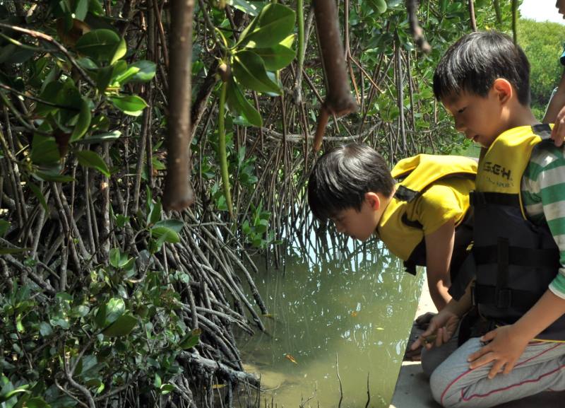 濕地是所學校，潟湖、魚塭、紅樹林都是最佳的戶外學習教室