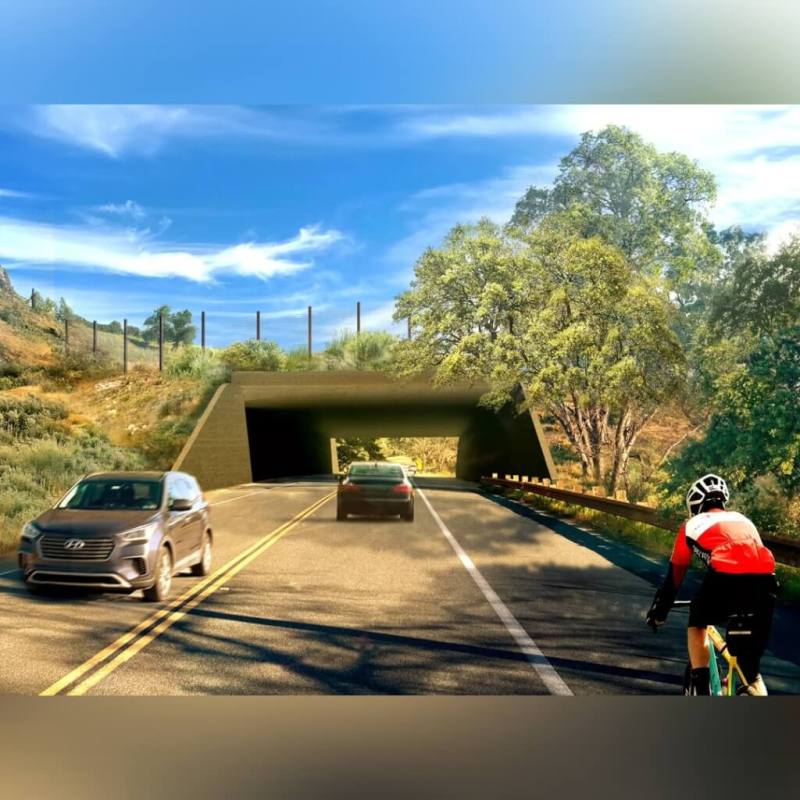 生態天橋完工示意圖。（圖取自facebook.com/annenberg）