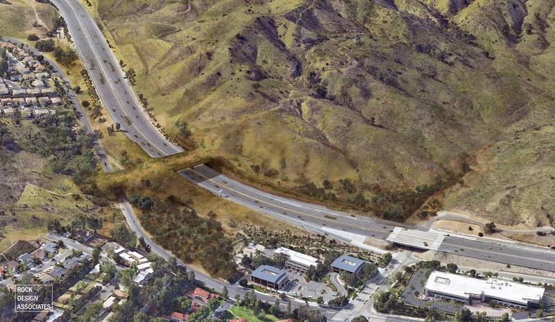 洛杉磯「華立斯．安納伯格野生通道」（Wallis Annenberg Wildlife Crossing）預計2026年完工，連結兩個山脈的生態環境。圖工程單位提供的示意圖。（Rock Design Associates與國家野生動物聯盟提供）