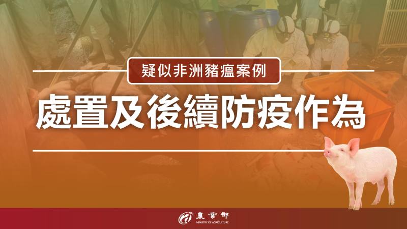 疑似非洲豬瘟案例處置及後續防疫作為