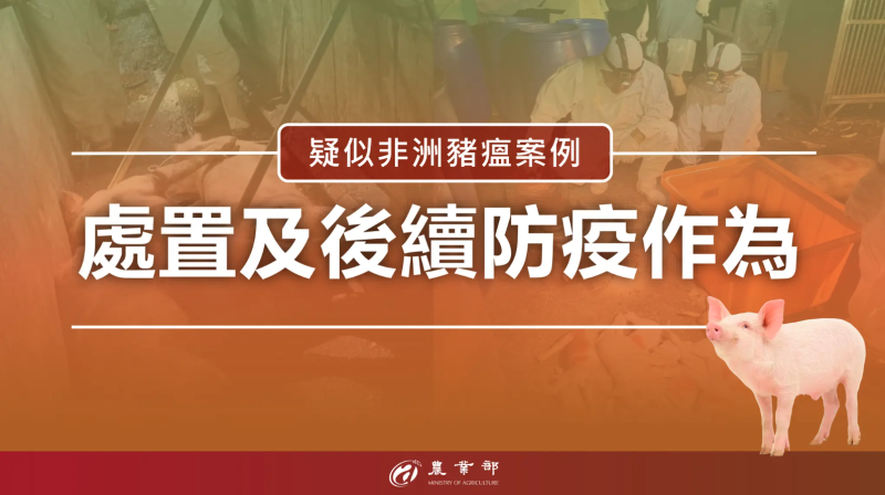 疑似非洲豬瘟疫案例處置及後續防疫作為