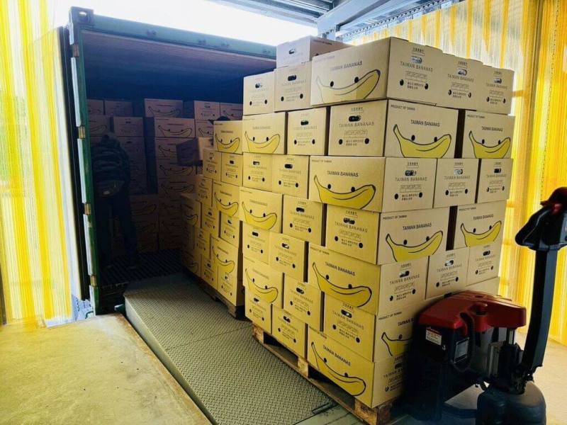 高雄香蕉搶攻外銷市場，10月起每週穩定出貨至新加坡。市府農業局表示，今年出口新加坡總量可望突破20公噸，展現高雄農產穩定供應與國際行銷成果。（高雄市農業局提供）