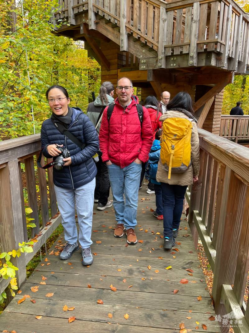 樹屋步道氣氛溫馨，欣賞山丘林木，增添歡樂交流