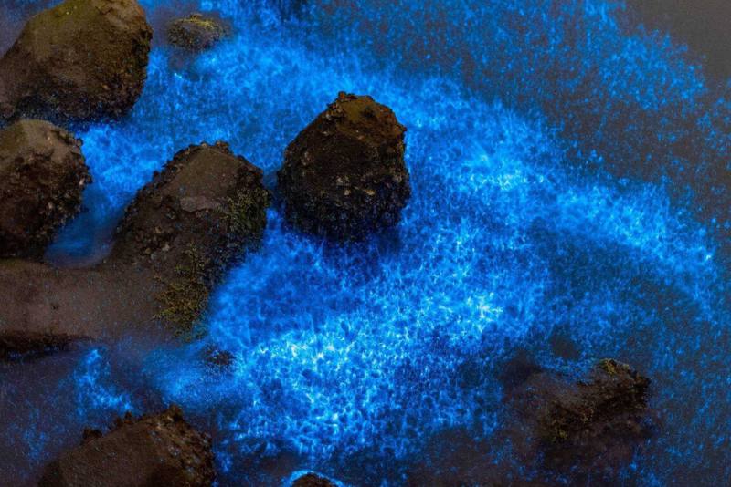 台南市將軍區海面近日出現自然景觀「藍眼淚」，吸引不少遊客前往觀看。圖為2023年將軍漁港附近海面出現的藍眼淚景觀。（台南市政府提供）