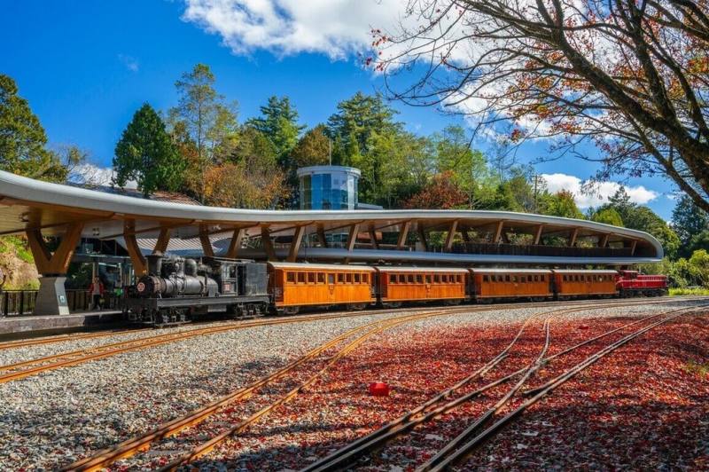 阿里山林鐵及文資處推出「楓度翩翩」主題列車遊程，全程行駛國寶級蒸汽火車31號附掛全台灣檜木所打造的檜木車廂（圖），前往林鐵特色車站及賞楓秘境，11月18日開放訂票。（黃源明提供）