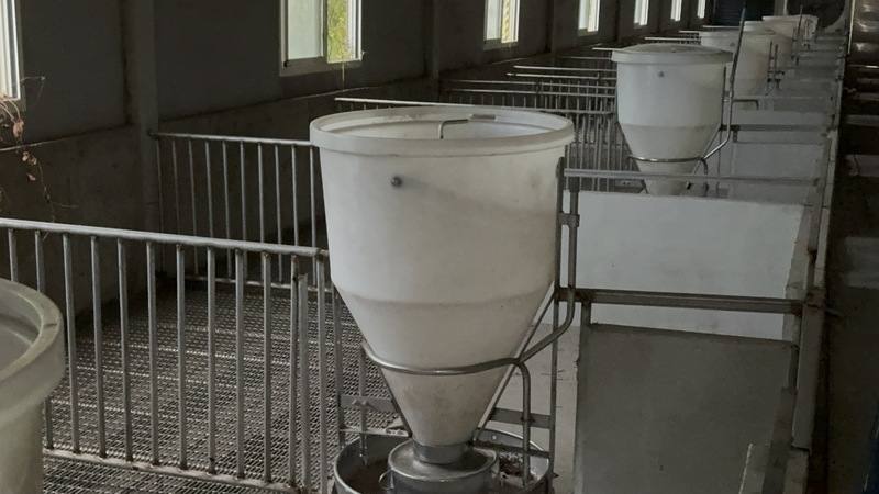 「農場晃晃」最新豬舍的基本標配有2道門鎖、水簾式、高床式設備，還有自動化飼料系統，最新一代的豬舍採中央空調，豬舍內部溫度舒適，定時定量餵養。