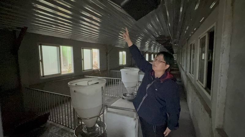 「農場晃晃」第三代陳柏吟（圖）10多年前接手家族事業，她想，既然承接就要讓產業永續發展，將傳統豬舍改建為水簾式智慧化的密閉豬舍，2道門鎖將病菌阻絕在外，給豬隻最舒適空間，也讓員工輕鬆工作。　