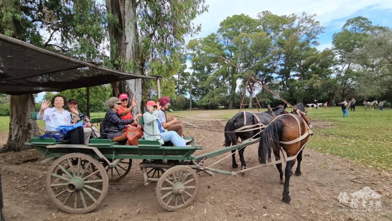 長輩們乘坐阿根廷農莊傳統馬車，體驗阿根廷獨特的人文風光