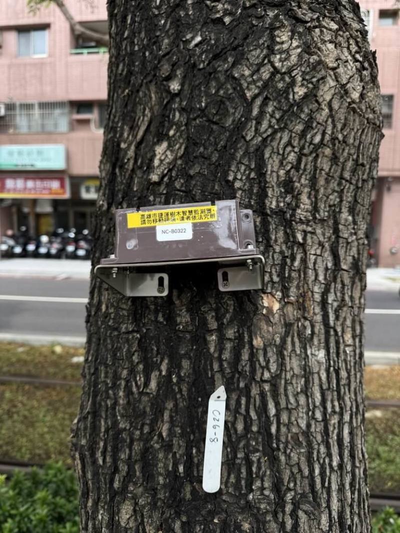 高雄捷運工程局在輕軌沿線路樹導入AI智慧監測樹木傾斜儀設備，即時監測樹木傾斜情形，提升安全性。（高雄市捷運工程局提供）