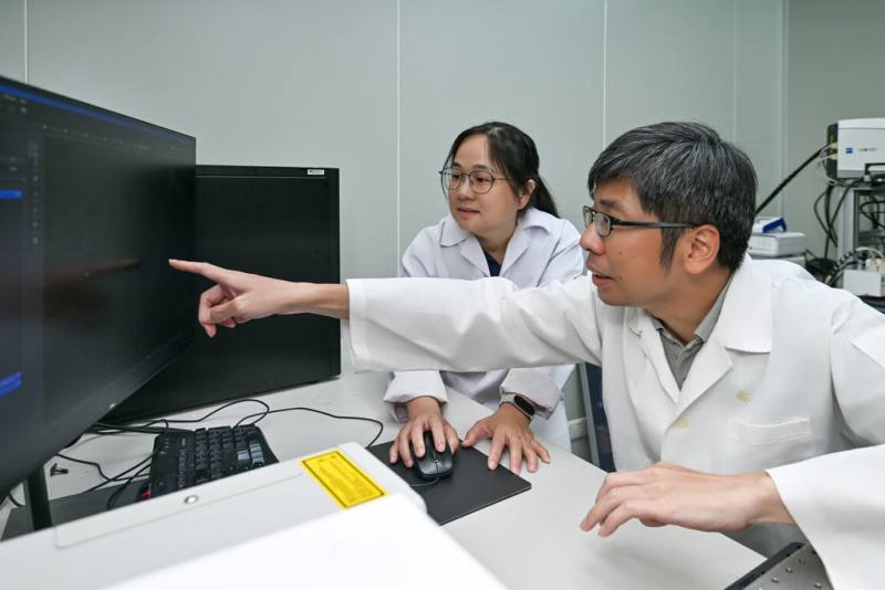 陽明交通大學教授王琬菁（左）與黃介嶸（右）帶領團隊，發現與纖毛生成密切相關的TTBK2與CEP164兩種蛋白，透過特殊的生化現象「液-液相分離」結合，為纖毛症治療提供新方向。（陽明交大提供）