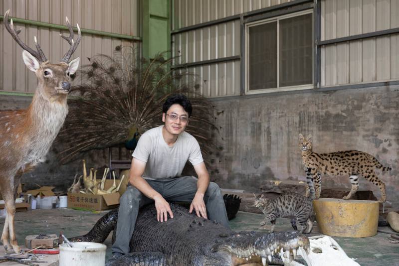 文總推出「匠人魂」第58集影片「一個人的動物園」，以標本師黃雯杰為主角，帶領觀眾一窺標本製作歷程。（文總提供）