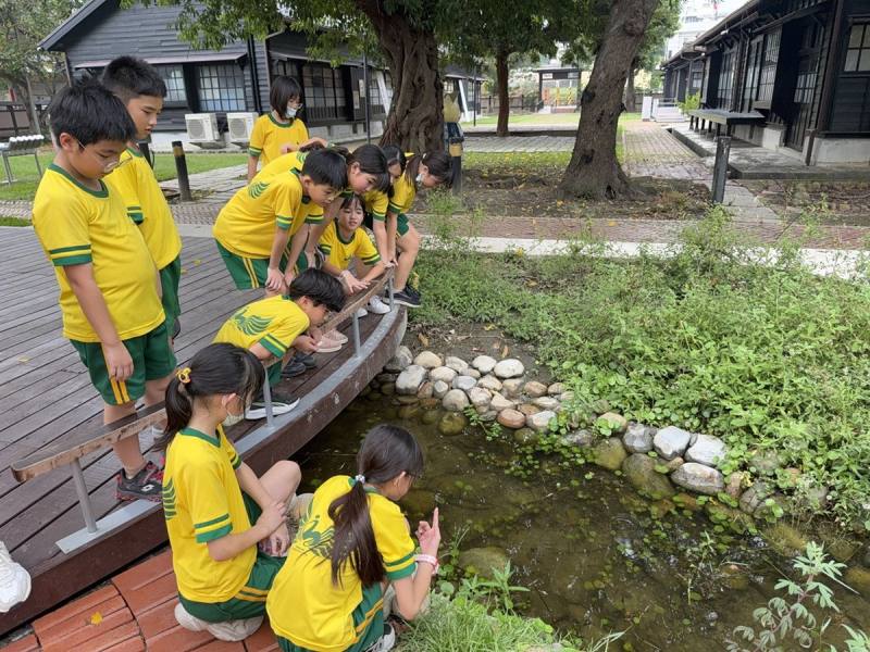 苗栗縣山腳國小：認識水生植物的自然體驗。