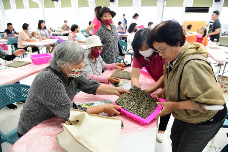 鹿角蕨×火山浮石手作植生板療育課程，自植生板製作到植株上板固定，學員皆以親手製作為核心理念。