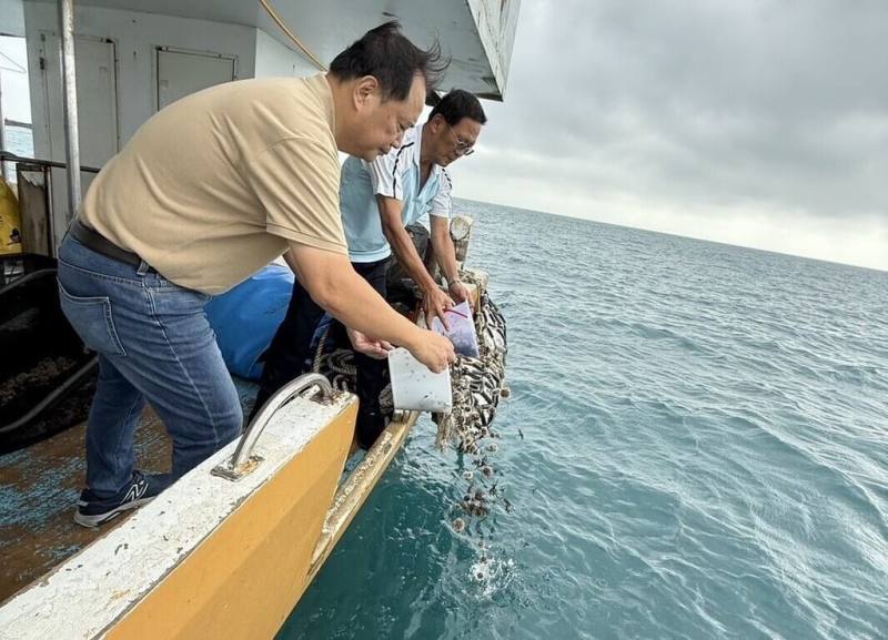 澎湖區漁會7日在澎湖近海海域舉辦海膽放流活動，共計放流5000顆人工育成的馬糞海膽種苗，盼藉實際行動恢復澎湖海洋生態環境。（澎湖區漁會提供）