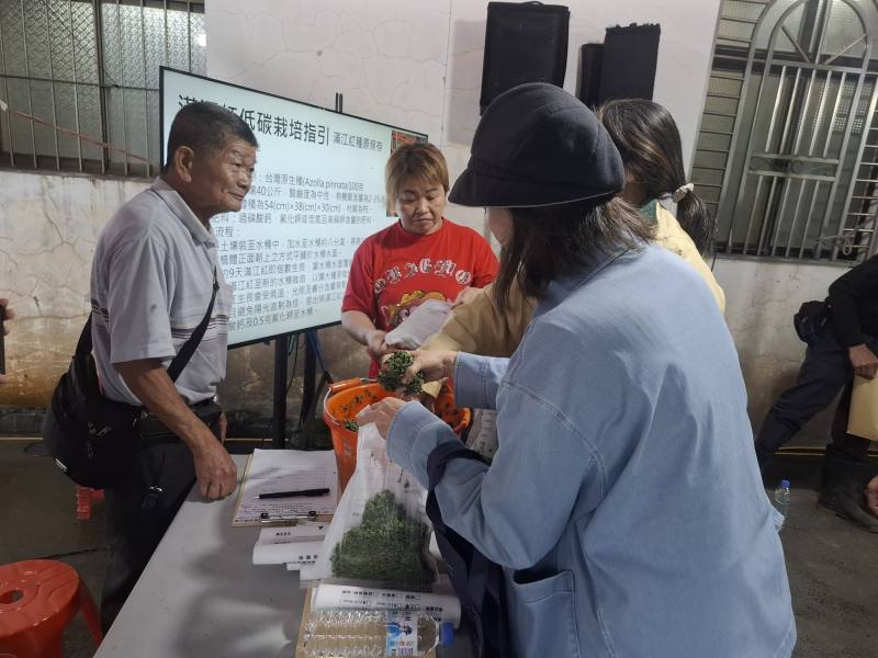 農民索取滿江紅回去種植