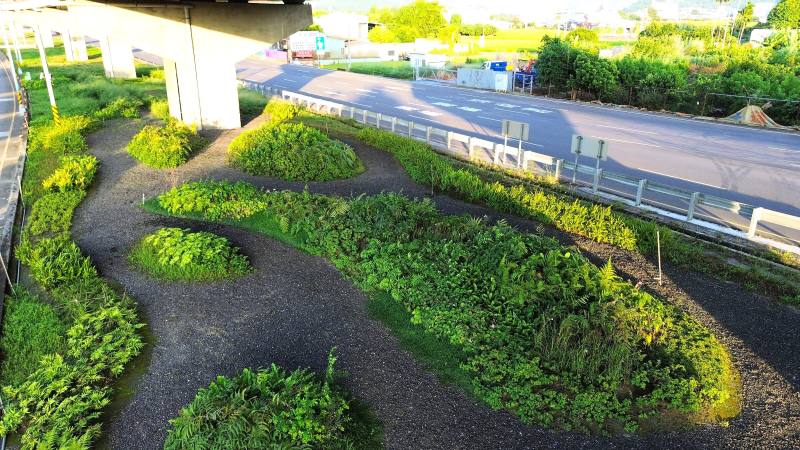 綠徑之路‧淨零之初-台63線公路橋下綠廊煥然一新