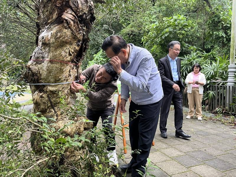 台北市教育局說，為扎根環境教育，已辦理150場次輔導活動，115年將有逾百校響應自行擬定4年期碳中和計畫，而種樹可增加碳匯，透過測量可算出每棵校樹的碳匯。