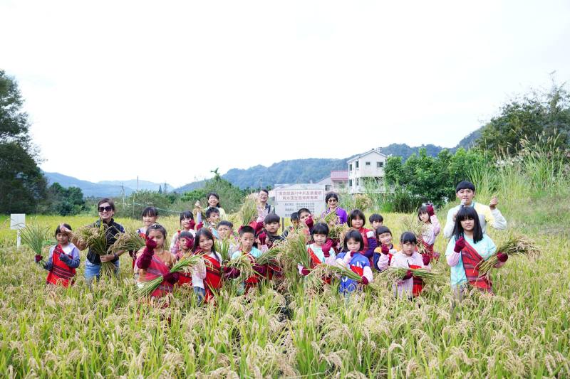 仁愛鄉互助國小師生共同參與成果發表會，從割稻活動中體驗從農田到餐桌的食農教育。