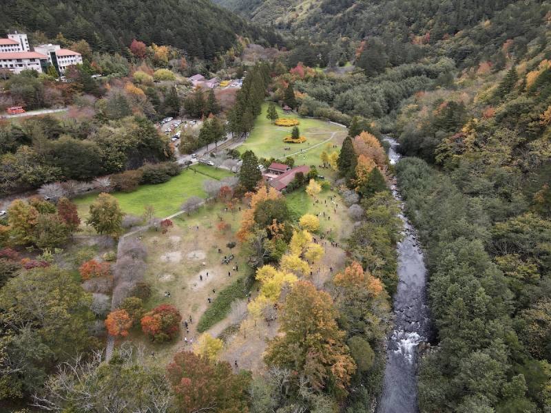 武陵農場祭出農特產品9折及「楓紅梅香三天兩夜」行程6,000元起