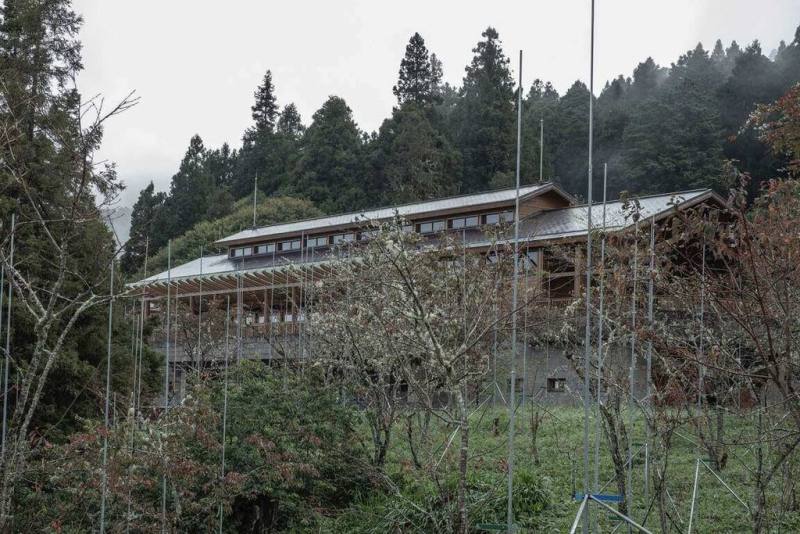 阿里山國家森林遊樂區「從森林到森林」裝置藝術展覽在25日開展，沼平公園室外展區主題為「聚落的印記」，透過四角標竿標示沼平聚落火災前的生活面貌。展覽為期一年。（林保署嘉義分署提供）