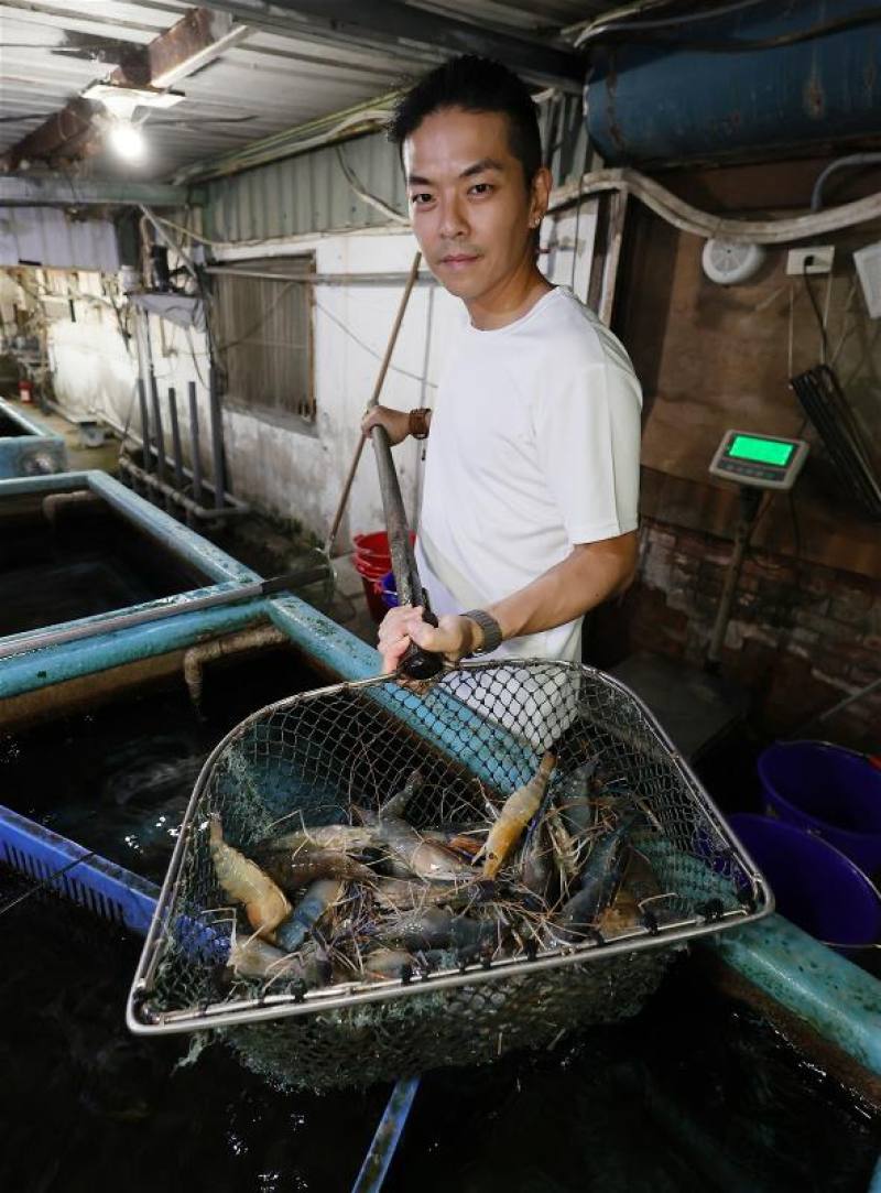 歐熊釣蝦場老闆詹嘉銘認為，水產、水質是關鍵，蝦越健康，越容易就餌。活力越好的蝦子也比較好吃