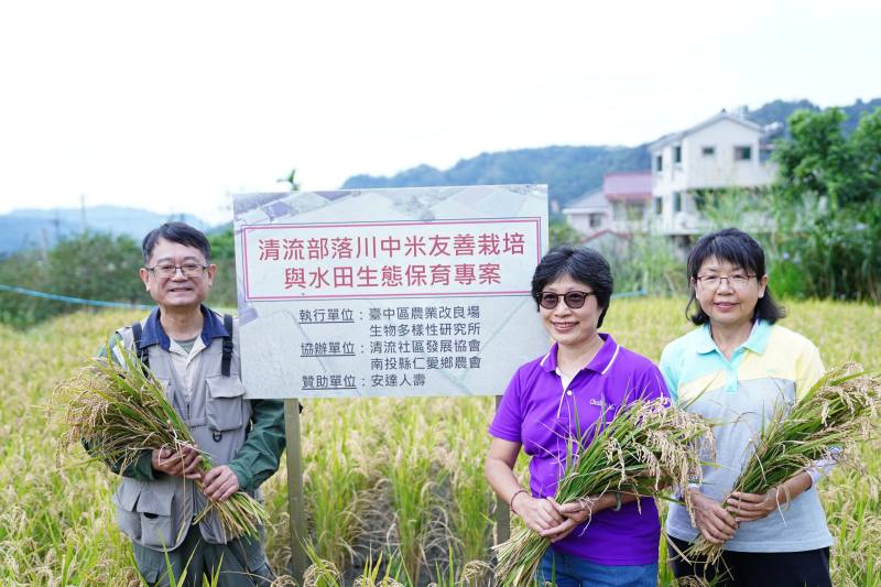 臺中農改場楊宏瑛場長(右)與生多所楊嘉棟所長(左)及安達人壽李崇言董事長(中)一同收穫本專案友善栽培水稻，支持清流部落川中米的永續創生。