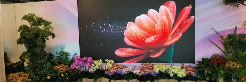 「2025台灣花卉推介會」27日上午在台北花博公園爭艷館開幕，主辦單位農業部農糧署表示，這次展出1500餘花卉品種，首日邀花卉相關業者憑名片換取專業參觀證入場，28日至30日全面免費開放民眾參觀，共享花卉盛事