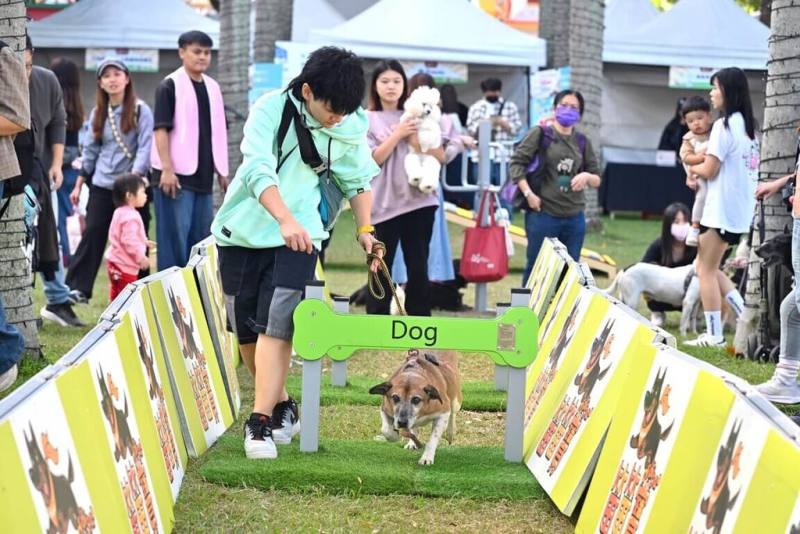 新北市府動物保護防疫處29日在板橋車站前廣場舉辦「2025毛寶貝狂想曲樂遊耶誕趴」，吸引不少飼主帶著家中毛孩參加，「毛寶貝趣味競賽」更是全場焦點。（新北市新聞局提供）