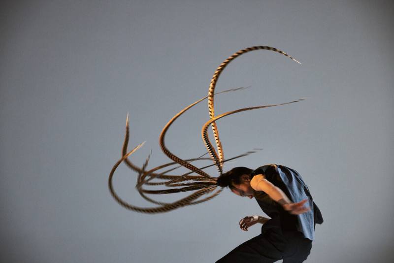 獲得多個國際獎項的翃舞作品「羽人」，在加拿大演出4場，獲得高度評價。（翃舞提供）