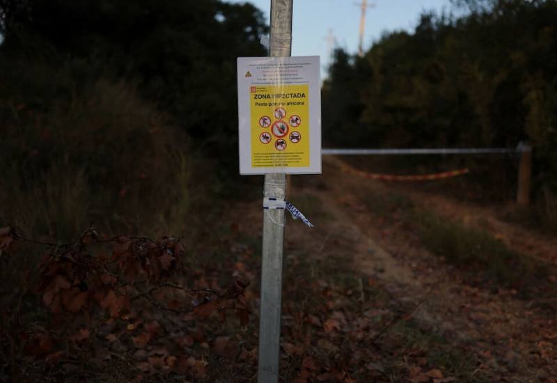 巴塞隆納附近一個指示牌，警告此區為非洲豬瘟疫區。（路透社）