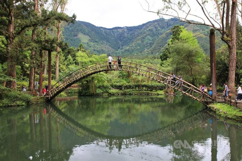 圖為溪頭園區景觀。（中央社檔案照片）