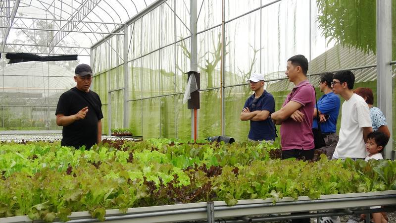 「菁菁蔬果農場」創辦人黃禹靖（左）向前往參觀的旅菲台商第2代解說種植知識