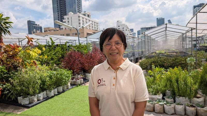 泰國曼谷市中心1處商場頂樓藏有小農場種蔬菜，更重要是將商場產生廚餘做成堆肥，與土壤混合做成肥料，社會企業曼谷屋頂農場（Bangkok Rooftop Farming）創辦人之一帕里那（Pareena Prayukvong）（圖）介紹廚餘轉變成新生命起點過程。