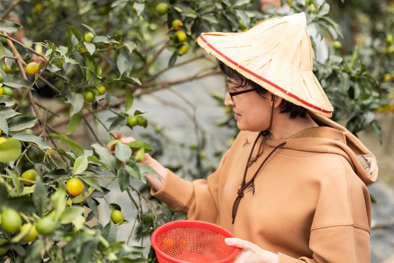 副總統親自體驗採果