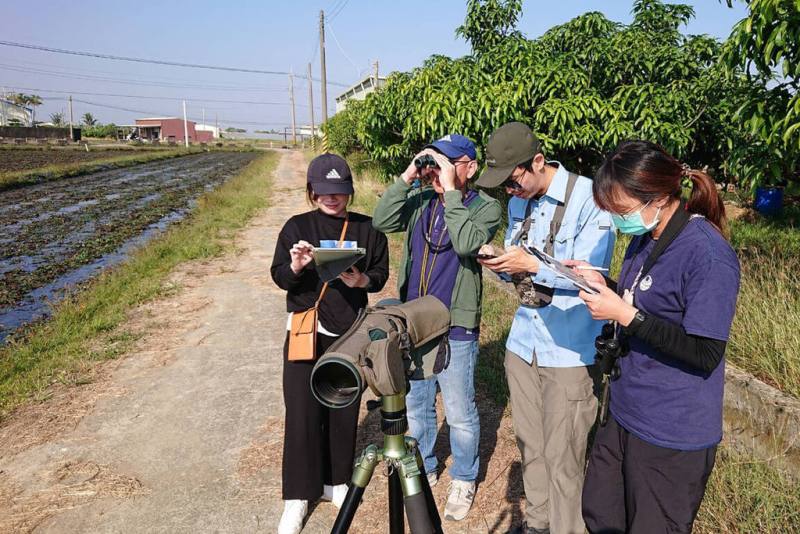 台南市官田水雉生態教育園區7日進行每年一次的台南「菱角鳥大調查」，號召各地鳥友深入各棲地點數，水雉族群總數2934隻，較113年減少95隻。（園區提供）