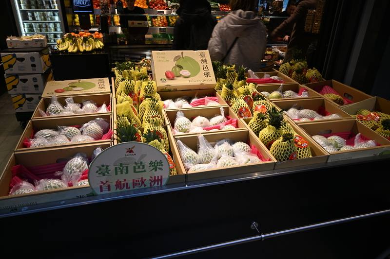 Taiwanese guava is now available in the Netherlands. CNA photo Dec. 6, 2025