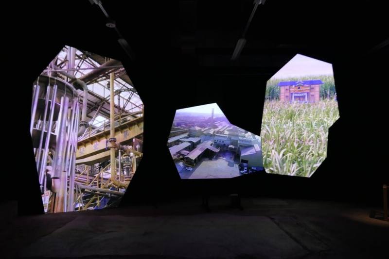 文化部駐日台灣文化中心與亞洲重要表演藝術平台「橫濱國際表演藝術會」（YPAM）合作，邀請台灣藝術家許家維、張碩尹、鄭先喻共同創作的兩件影像作品「等晶播種」與「浪濤之下亦有皇都」，於本屆「YPAM Showcase」單元展演。「等晶播種」現場展出情形。（文化部駐日台灣文化中心提供）