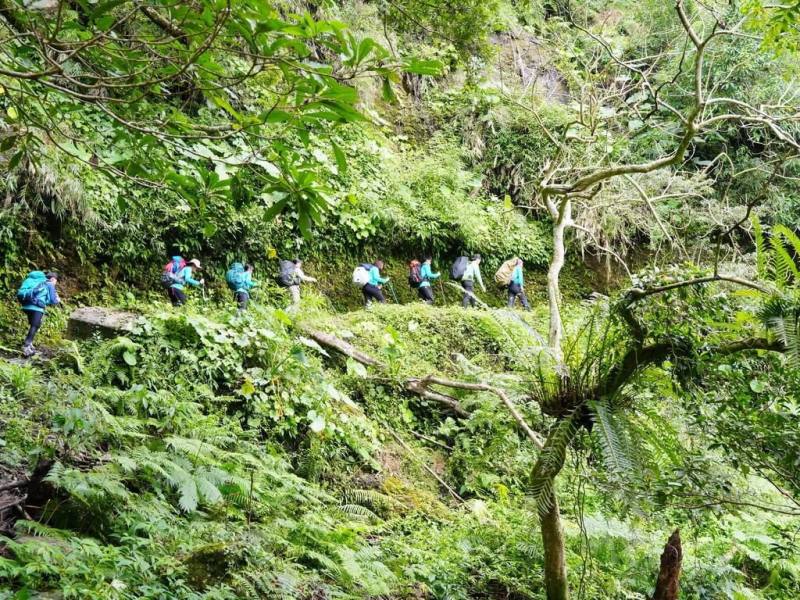 玉山國家公園東部園區是台灣黑熊重要棲地，玉山國家公園管理處115年1月、2月將辦理夜宿型營隊活動，帶領高中職生探訪拉庫拉庫溪、瓦拉米步道。圖為瓦拉米步道路旁及樹上多樣蕨類呈現低海拔溫潤氣候特色。（玉山國家公園管理處提供）
