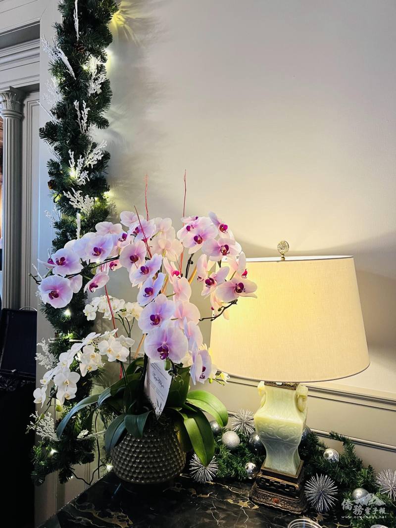 副會長錢微之贈與州長的蘭花