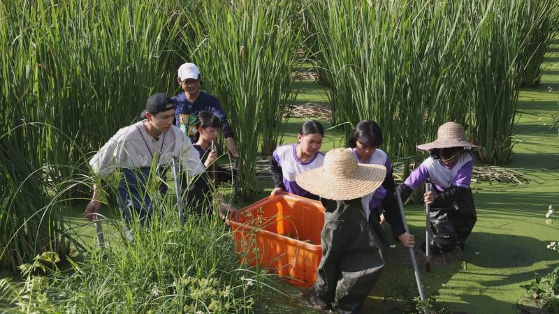 南投縣溪南國小結合當地筊白筍產業，孩子們從採收、清洗、包裝到料理，對家鄉有更深的認識