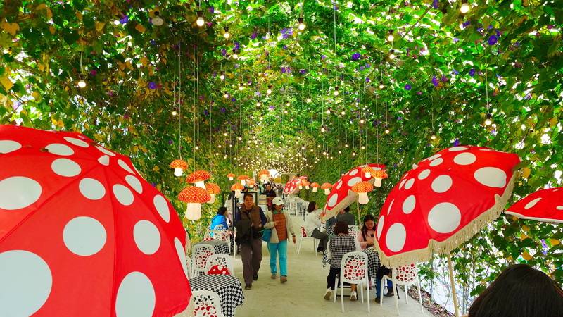 嘉義縣政府12月13日到21日在中埔穀倉農創園區舉辦「2025 高山茶都．嘉義」活動，展場設置「中埔御藏」奇幻隧道，讓遊客體驗咖啡與茶交織童話感官之旅。