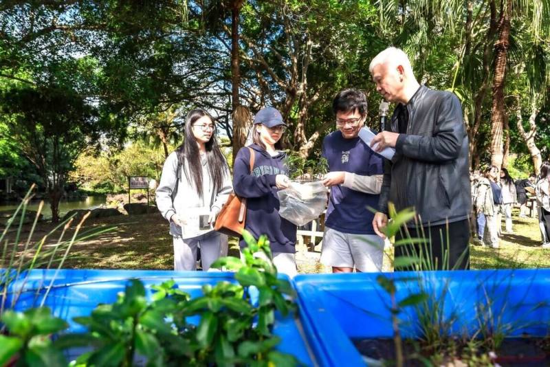 元智大學水生植物種原方舟計畫成功在校園內復育33種台灣瀕臨滅絕的水生植物，展現跨領域合作成果，化材系團隊參與水質監測與數據管理。（校方提供）