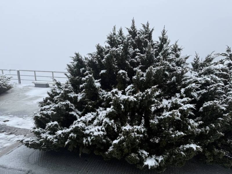 中央氣象署觀測，20日上午玉山北峰清晨降雪，5時45分積雪累積達2.5公分，後雖轉雨，但9時5分時又再度降雪，成銀白世界。（氣象署提供）