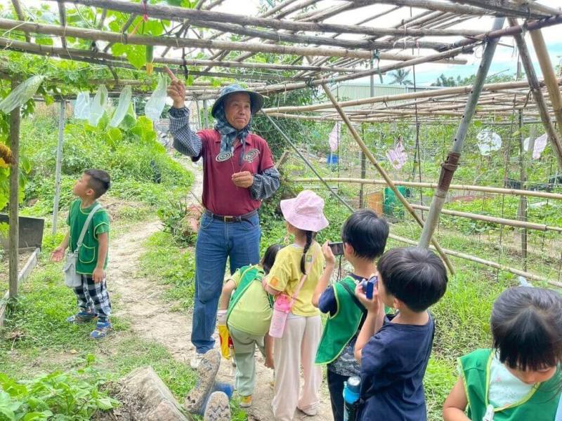 桃園市中路非營利幼兒園邀請在地耆老帶領孩子種菜、種稻，從觀察、採收到辦桌活動，讓幼兒理解食物生產過程。（教育部提供）