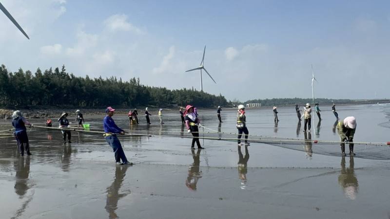 苗栗縣政府文化觀光局24日表示，「竹南后厝仔牽罟」經審議通過，成為苗栗縣首件登錄「傳統知識與實踐」無形文化資產，並認定「苗栗縣天文牽罟觀光文化協會」為保存團體。（苗栗縣政府提供）