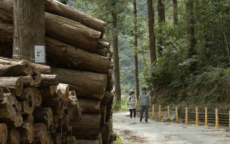 為讓大眾認識治山防災及生態保育工作，農業部林業及自然保育署南投分署推出宣導影片，採行腳節目形式，率觀眾深入了解崩塌地源頭治理、野溪整治規劃、土石流防治與林道維護等治理內容。（林業及自然保育署南投分署提供）
