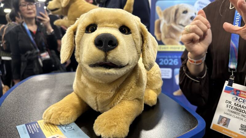美國業者打造能陪伴失智者、年長者的機器狗Jennie，預計2026年在美國上市，有望2027年在台灣市場推出。